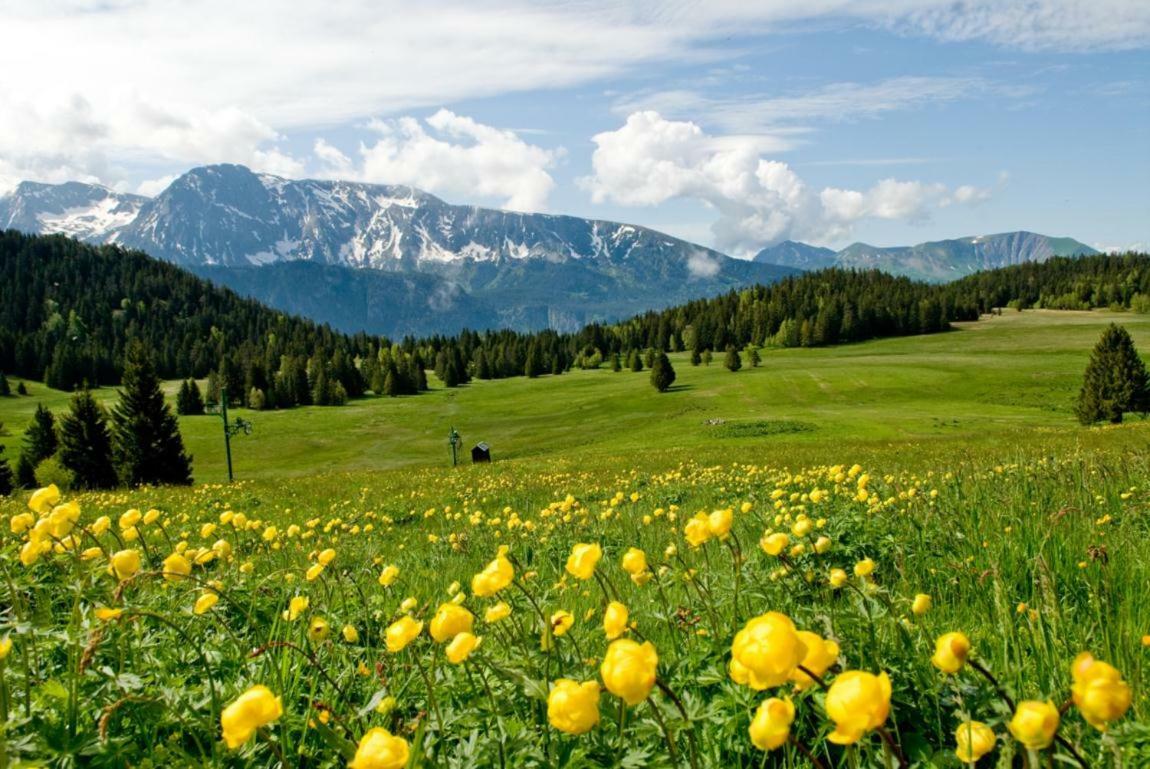 Appart Eterlou Chamrousse Buitenkant foto